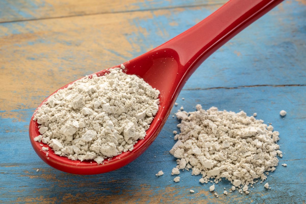 Diatomaceous Earth in a red spatula on a wooden table.