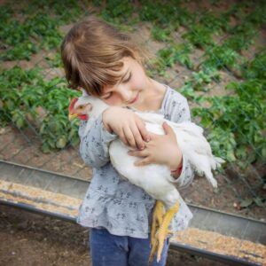 Young girl hugging a white chicken.