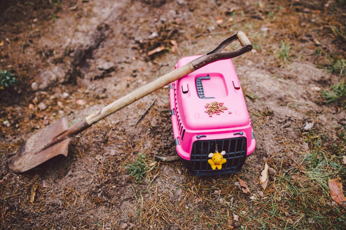Shovel and a pink pet container on the ground.