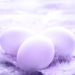 Three purple eggs.