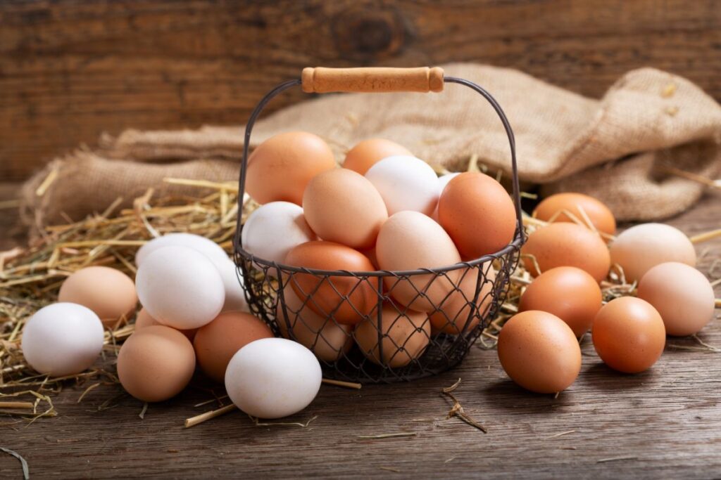 Are There Chickens That Lay Purple Eggs? (Nope, but..!) - Chicken ...