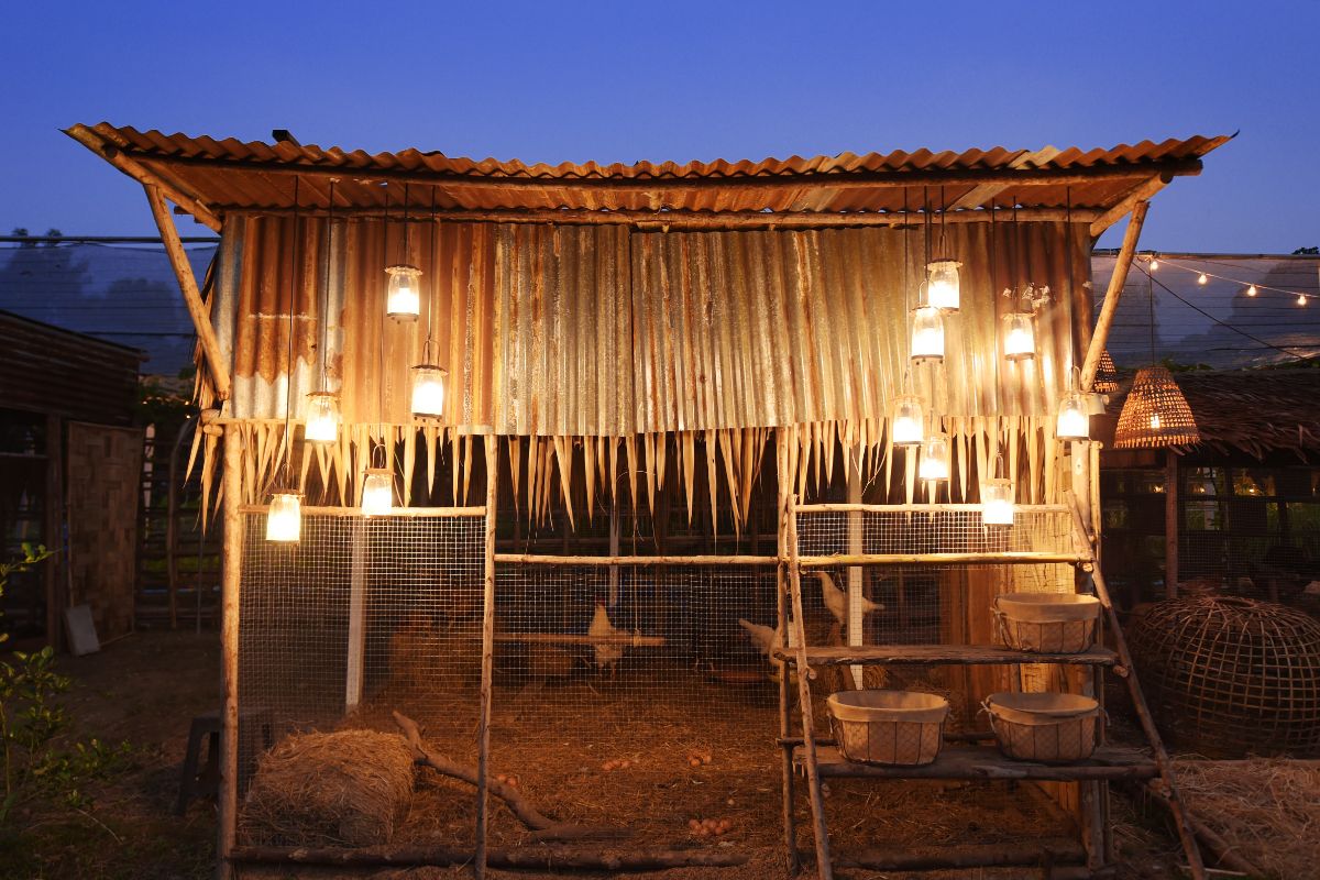 Wooden chicken coop with lights on at night,