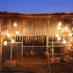 Wooden chicken coop with lights at night.