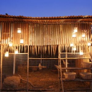 Wooden chicken coop with lights at night.