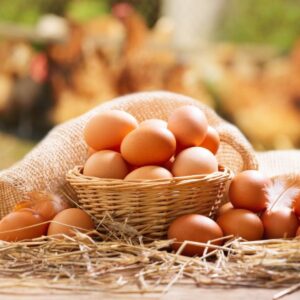 Basket full of fresh organic eggs.