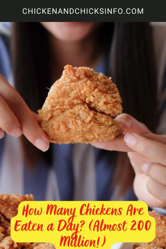 How Many Chickens Are Eaten a Day? (Almost 200 Million!) Chicken