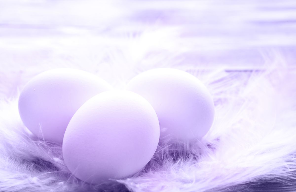 Three purple eggs.
