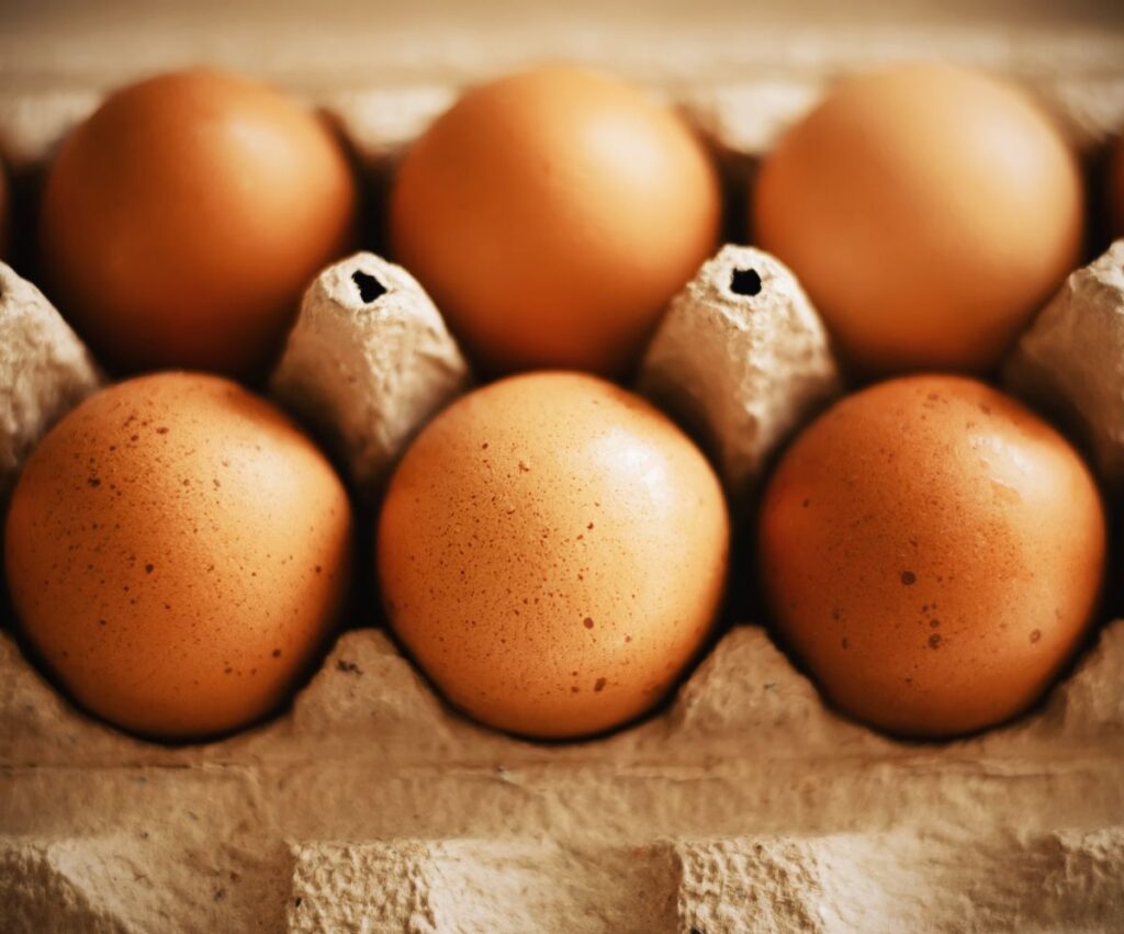 What Chickens Lay Speckled Eggs? (Speckled Breeds!) Chicken & Chicks Info