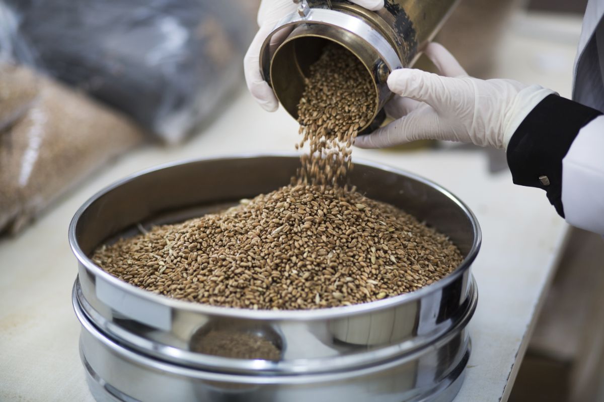 Hands pouring a feed from small to the larger metal container.