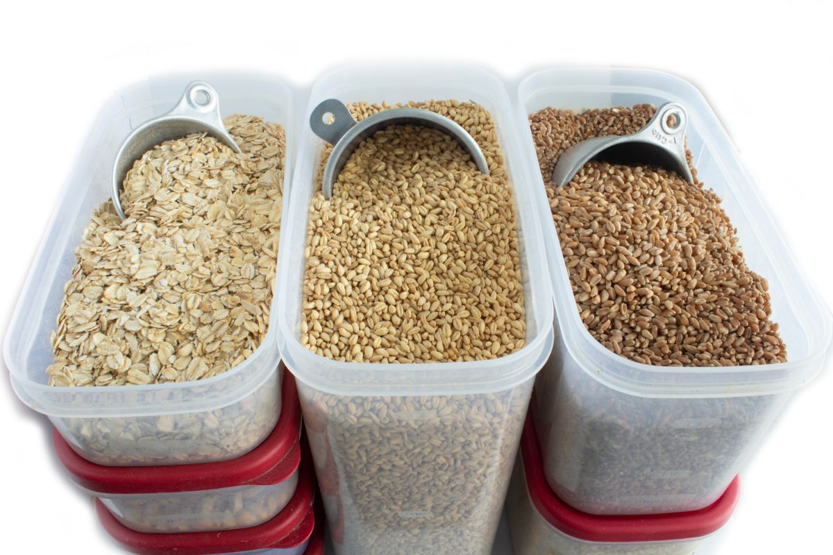 DIfferent types of grains in a plastic container with scoops.