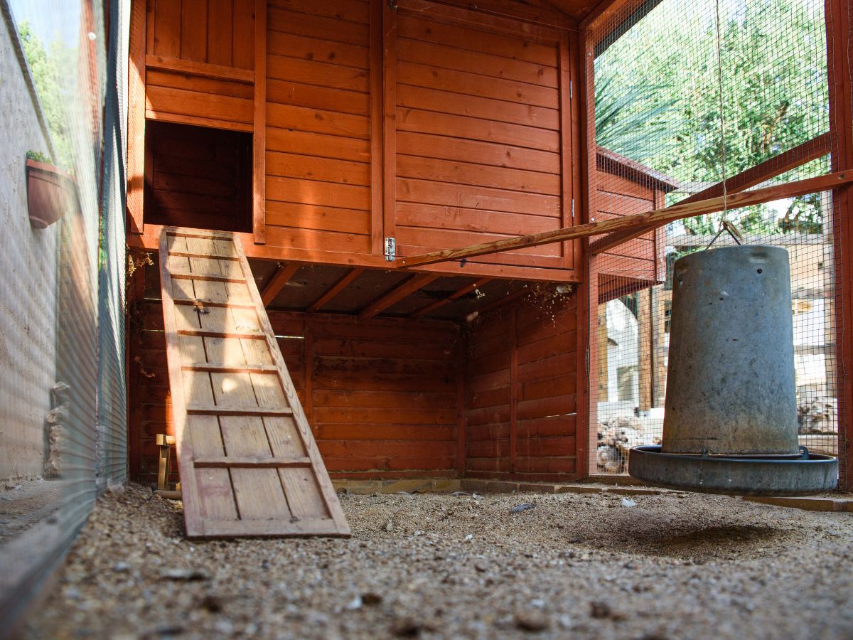 Clean wooden chicken coop.