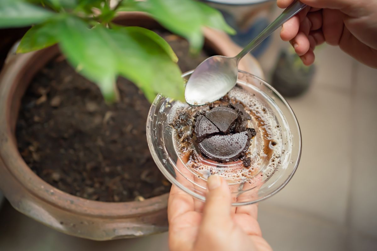 A glass plate with coffee grounds held by hand.