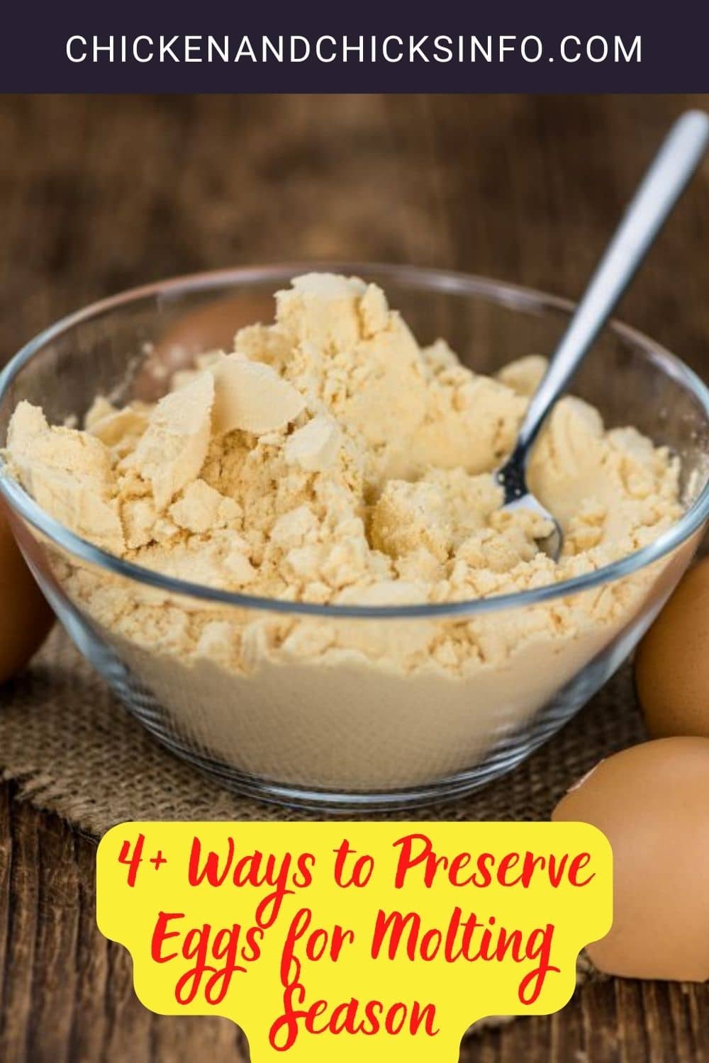 4+ Ways to Preserve Eggs for Molting Season Pinterest image.