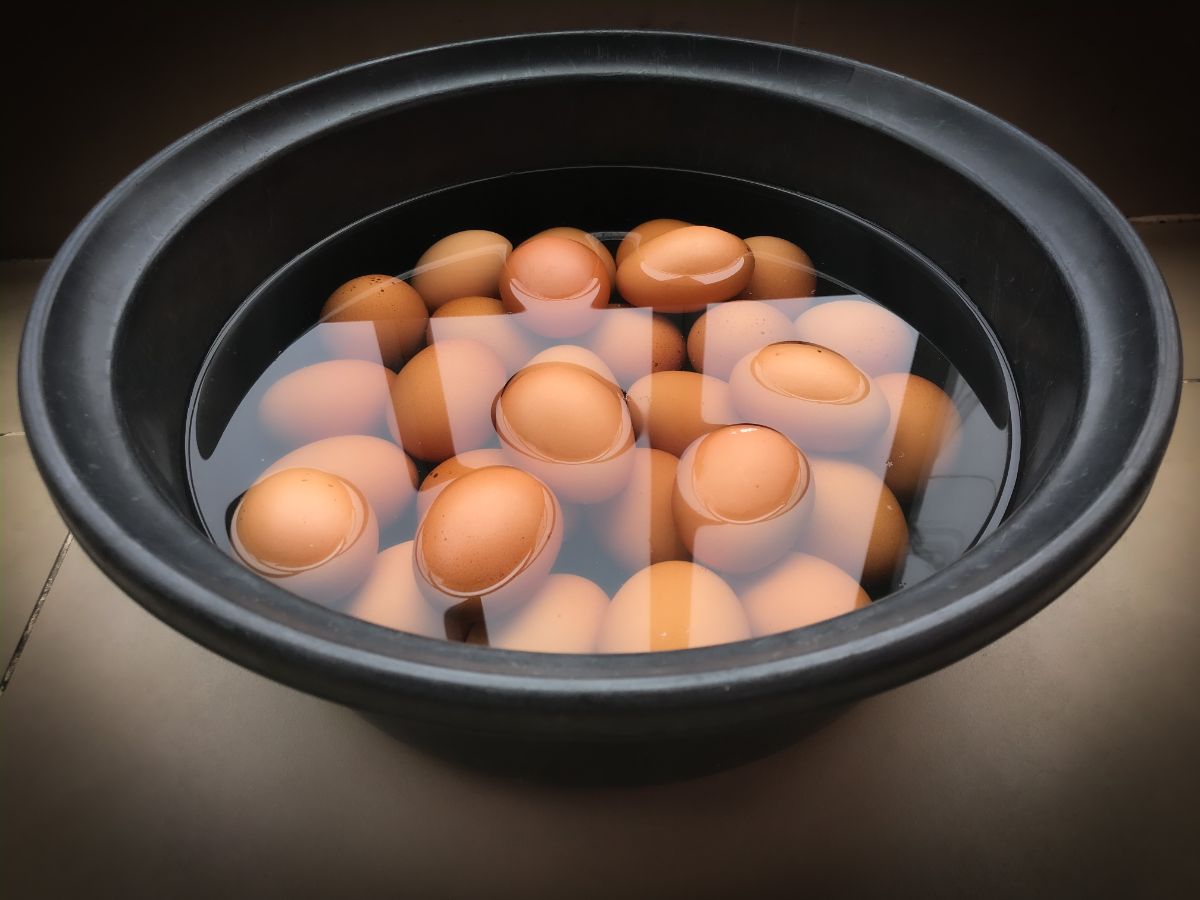 Plenty of chicken eggs in a big black bowl with water.
