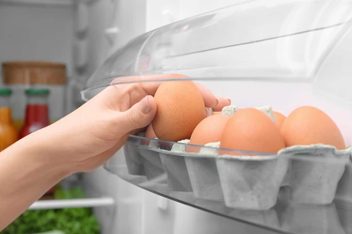 A hand taking a chicken egg out of the refrigerator.