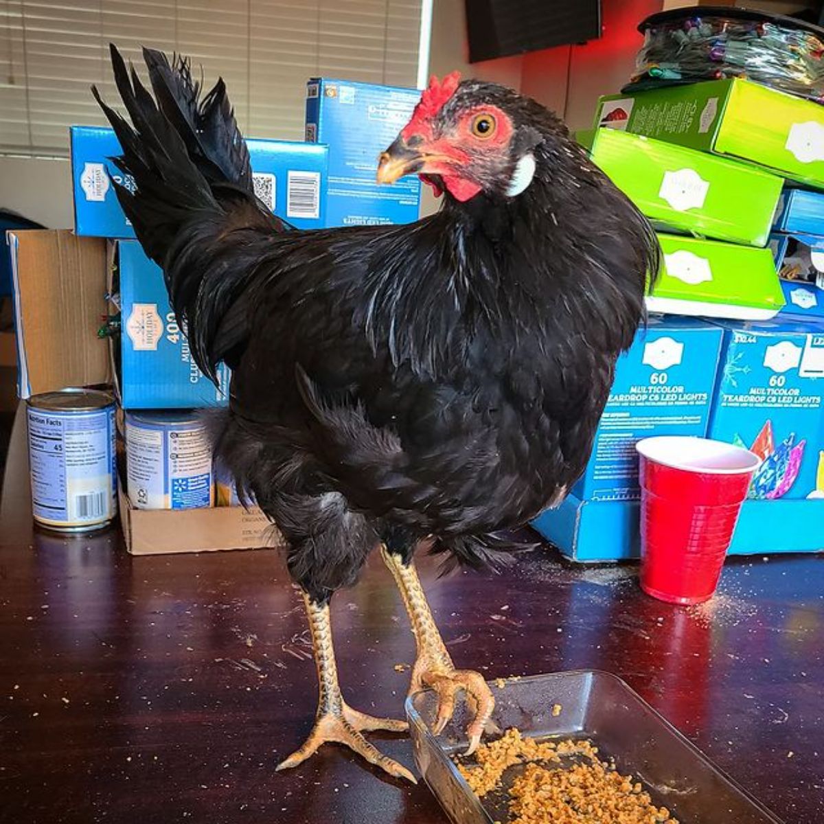 A Whiting True Blue rooster stands on a table.